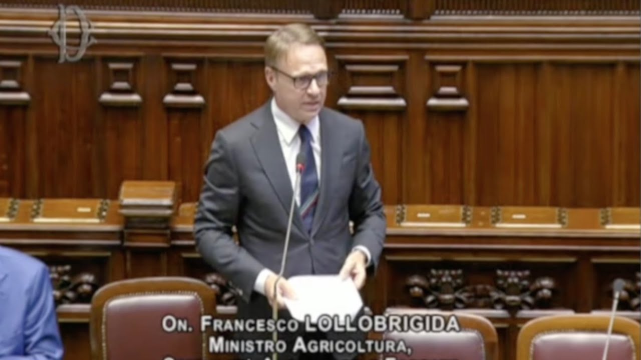 L'intervento del Ministro Lollobrigida al Question Time alla Camera dei Deputati - 09/07/2025