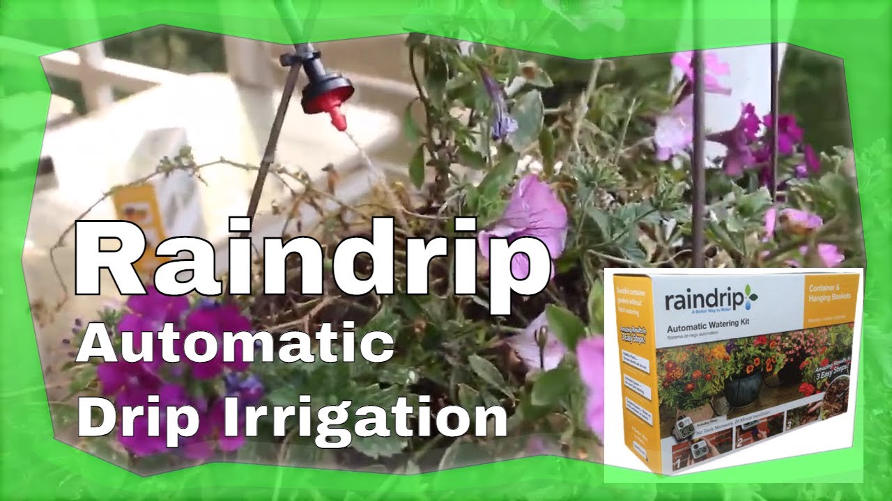 Raindrip Automatic Drip Watering System Installation