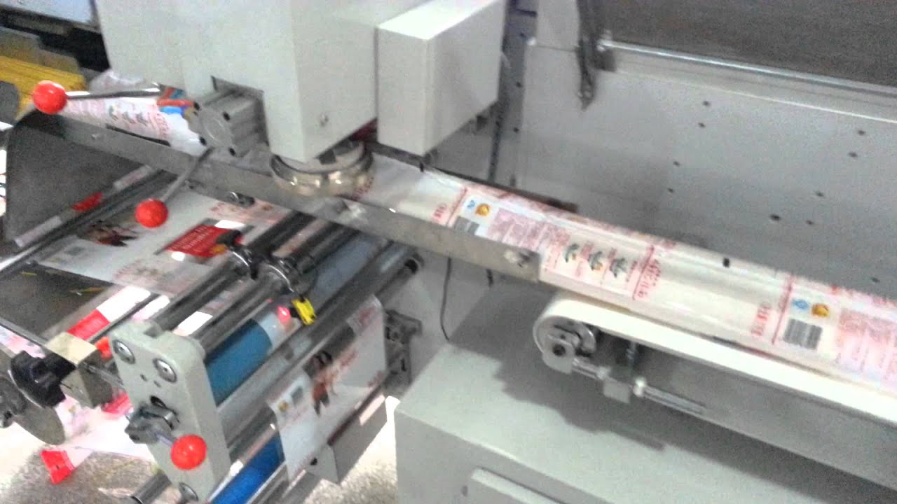 SGM - 1000 Automatic Spaghetti(noodle) Weighing and Packaging System