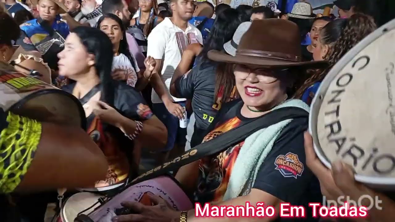 Boi da Maioba 2026 Darlan Conciliador Cantador 💫 Primeiro Ensaio 