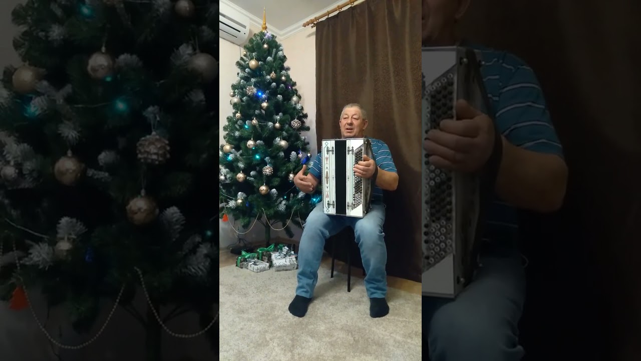 Едут Новосёлы - песня кавер под баян.
