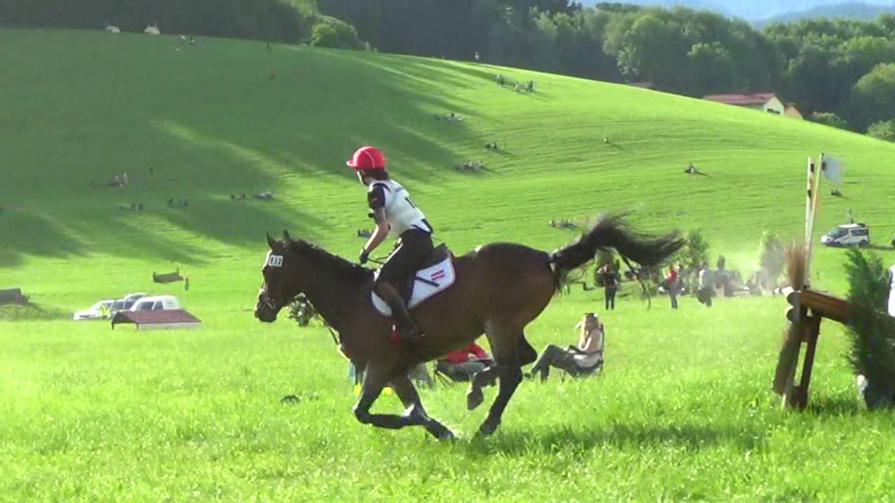 Mirjam Mayer - Maverick 19 -  CIC1*  - Laintal 2016