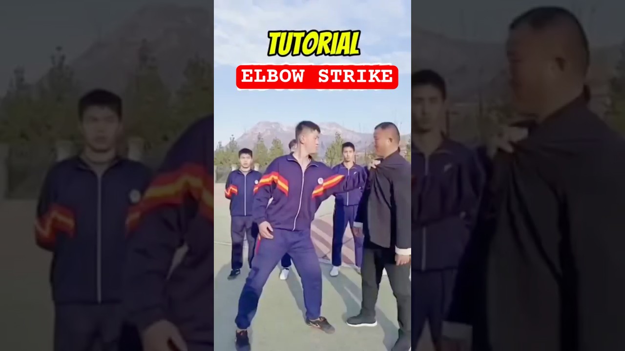 Elbow Strike#elbow#karate#martialarts#india#russia#ytshorts#viralreels#shots#fitness#trending#mma#yt