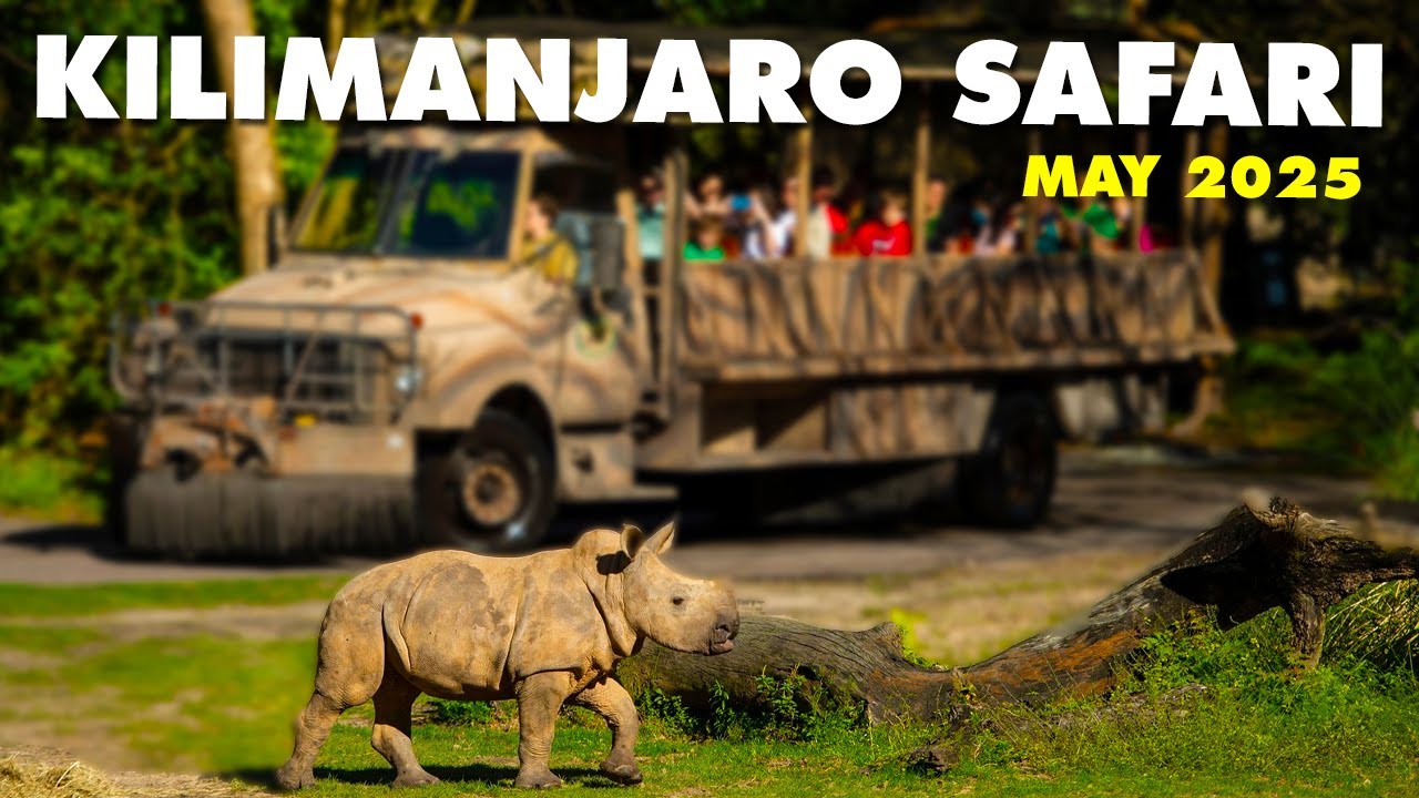 Kilimanjaro Safaris full POV | Animal Kingdom | May 2025