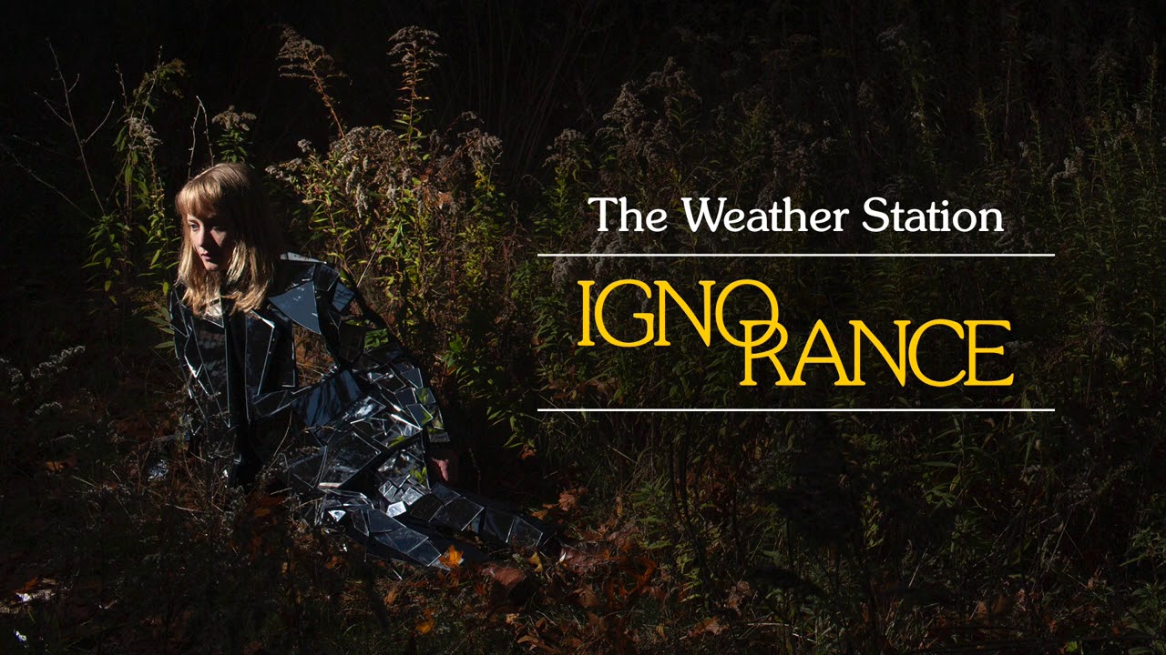 The Weather Station - Ignorance (Full Album Stream)