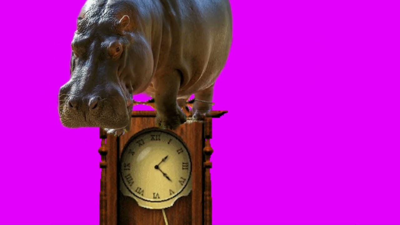 Hickory dickory dock Hippo Not Elephant 