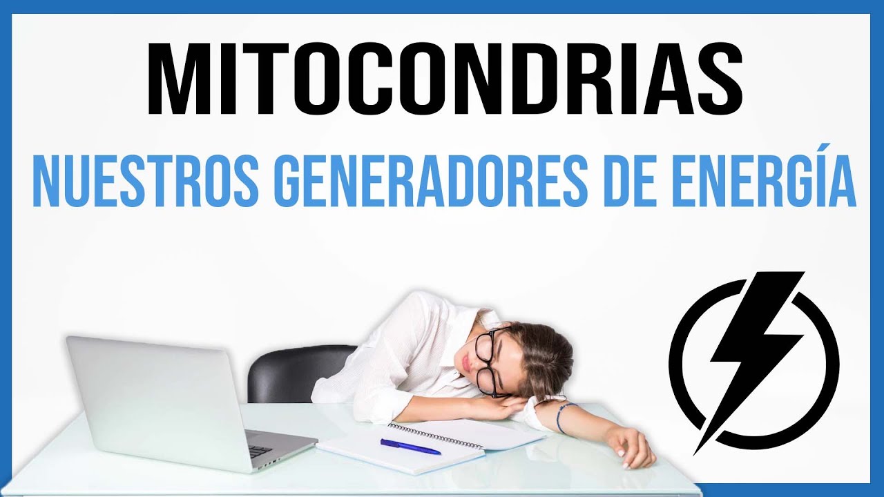 La Mitocondria 🔋 Sustancias necesarias para OBTENER ENERGÍA 🔋 Daniel de la Serna