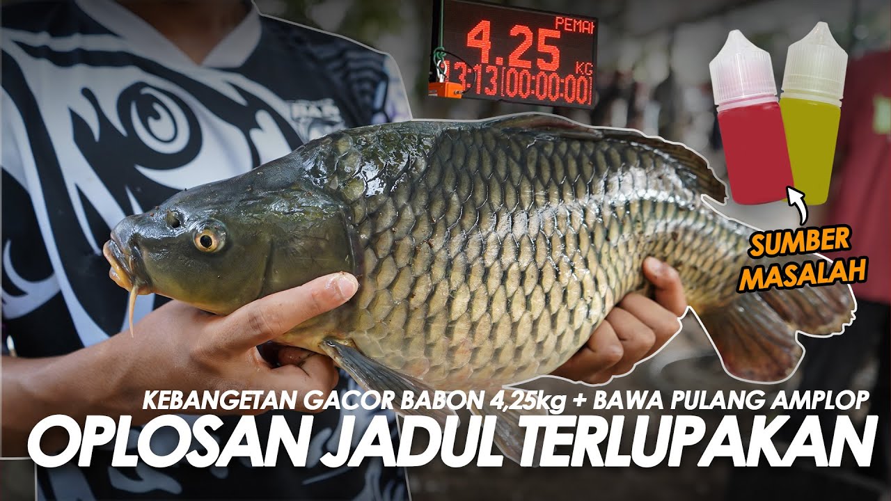 KIRAIN MANDUL TERNYATA MANTUL !! HAMPIR TERLUPAKAN EH MALAH UGAL UGALAN || Am#652