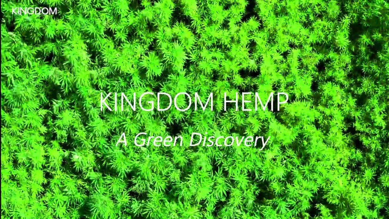 KINGDOM HEMP