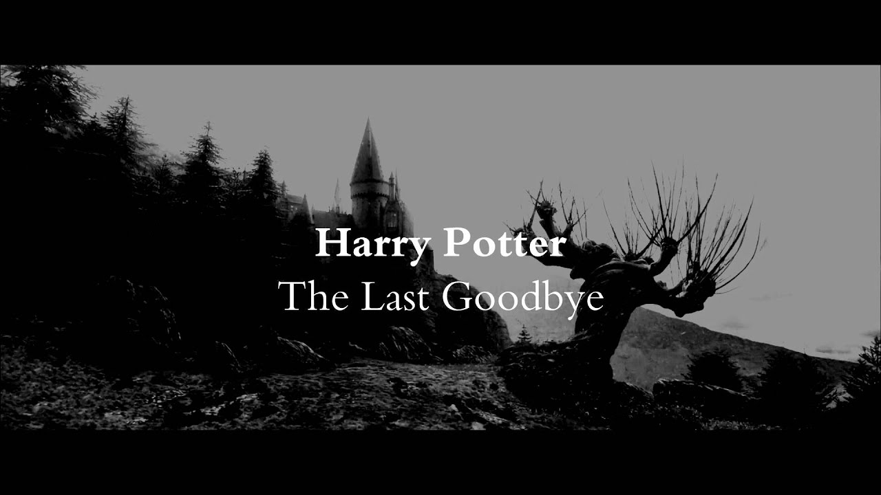 Harry Potter~ The Last Goodbye