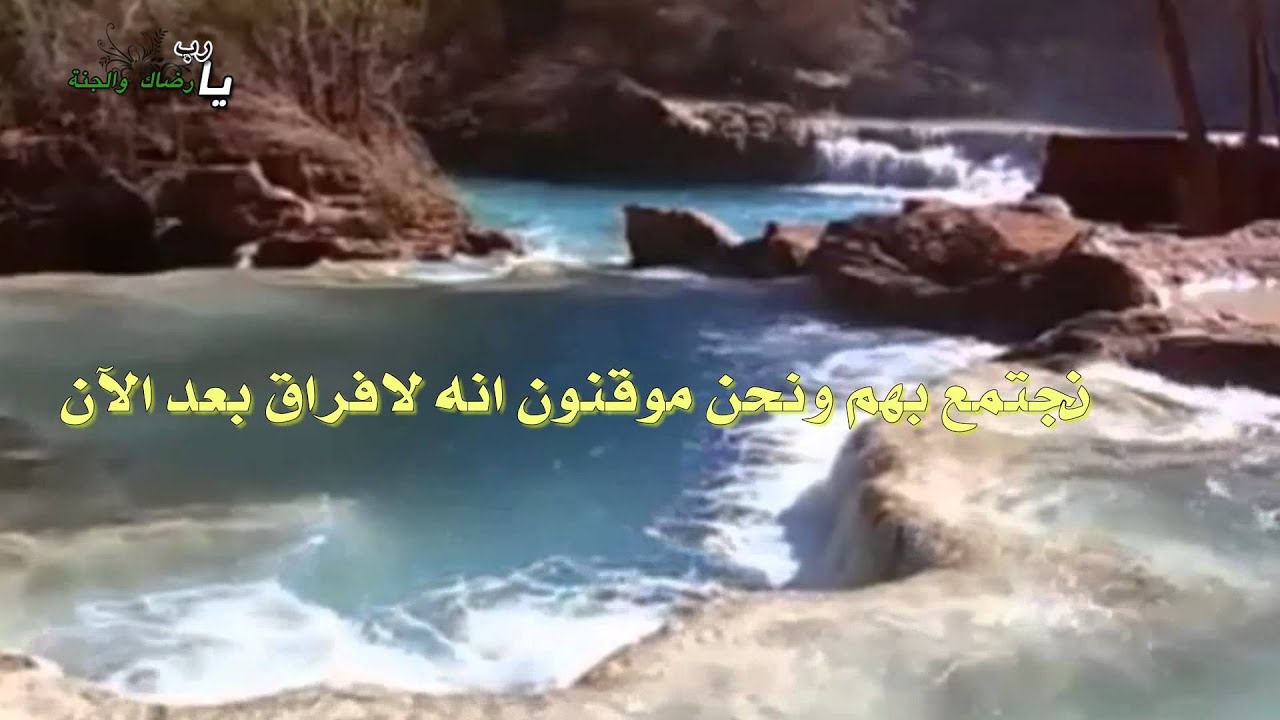 ذكرتك ياغلا هالكون