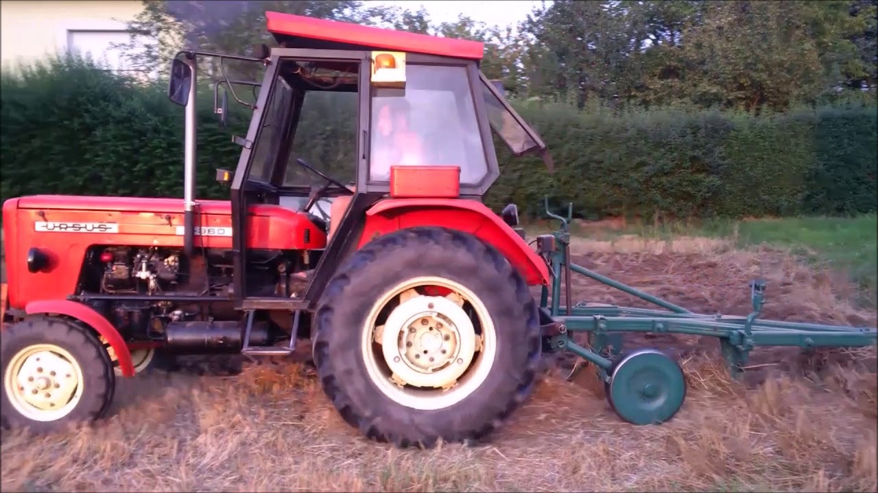 2x Ursus C-360 Turbo  w akcji Orka  prezentacja maszyn Podkarpacie