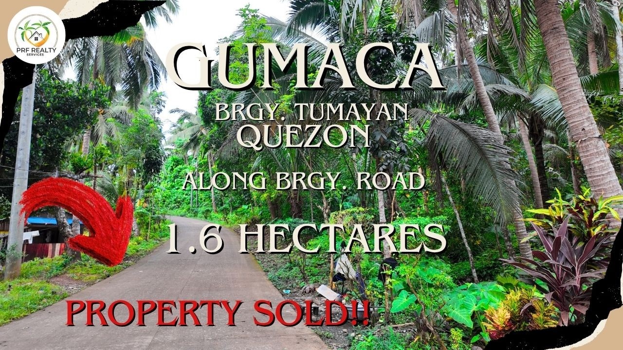 A72 - Property of Gumaca | 1.6 Hectares | Along Brgy. Road |