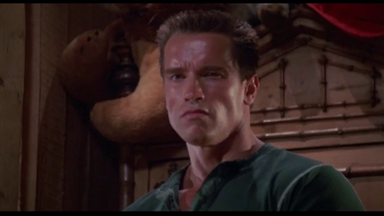 Commando ze Schwarzeneggerem - dobra scena - czyta Tomasz Knapik