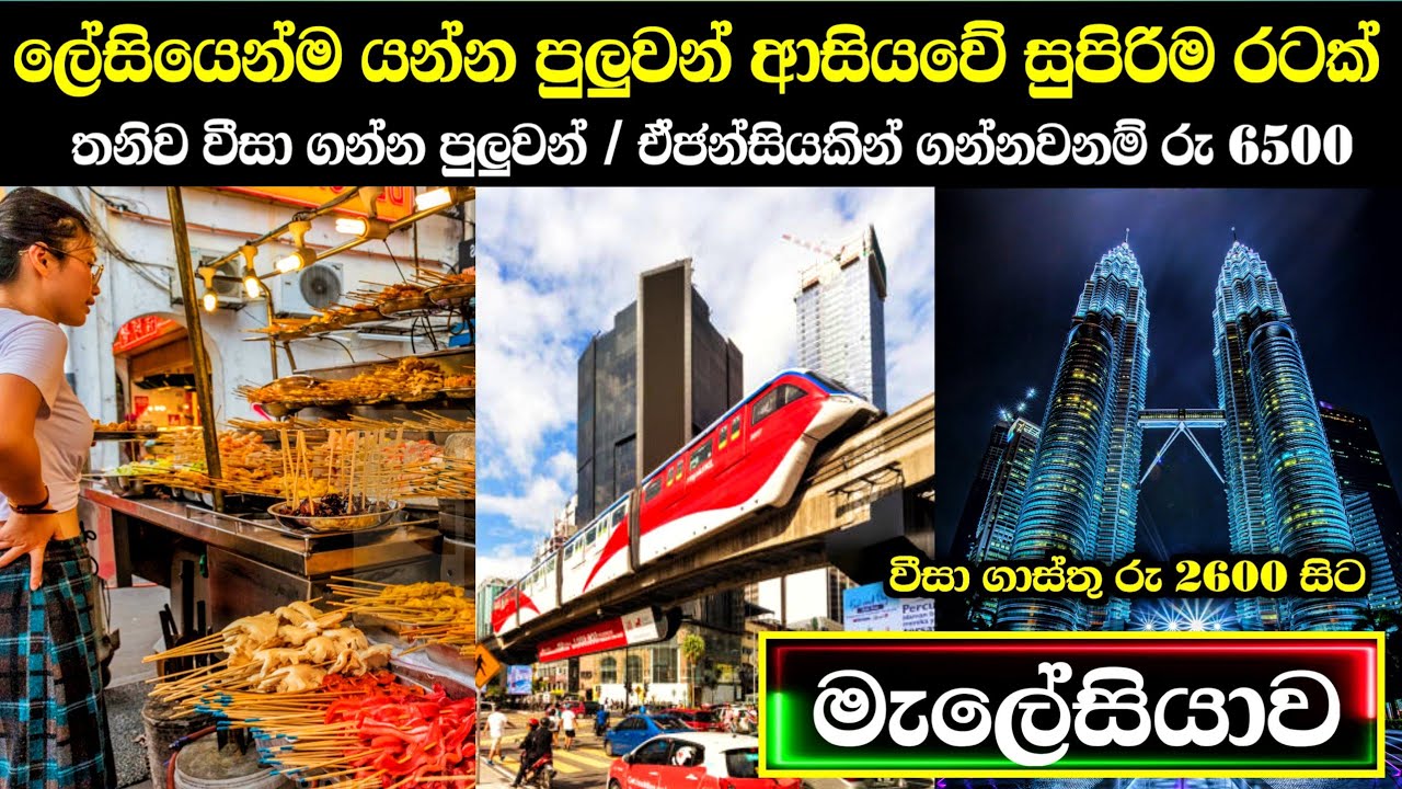ගෙදර ඉදන්ම online visa ගන්න පුලුවන් මැලේසියාව | e-visa | malaysia in sinhala 🇲🇾