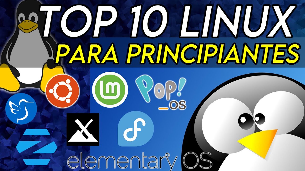 TOP 10 DISTROS LINUX para PRINCIPIANTES en 2025 🐧 &iexcl;F&aacute;ciles, r&aacute;pidas y potentes!