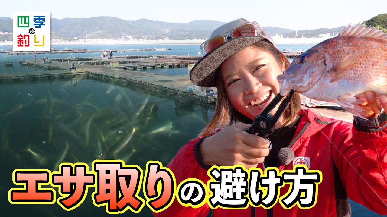 安心！安全！海上釣り堀　手軽に高級魚を釣ろう！（四季の釣り/2024年12月6日放送）