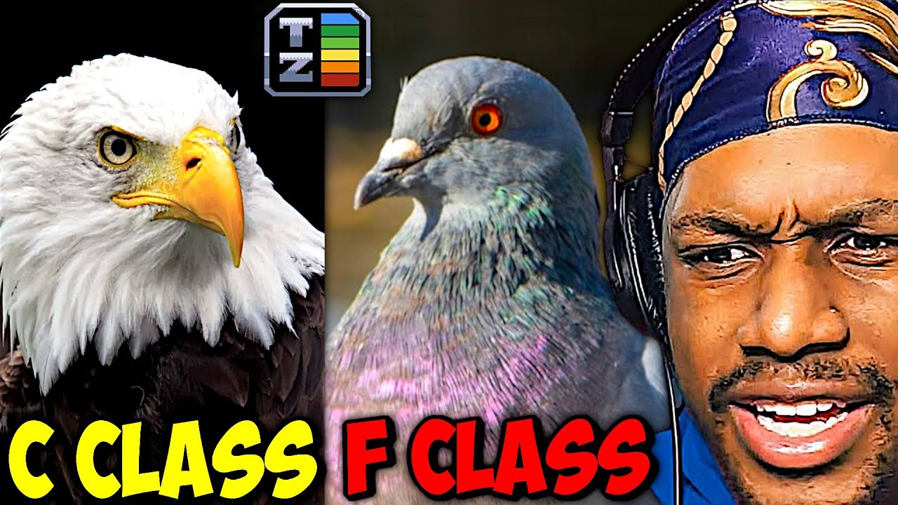 Birds' True Rankings Aren't What I Expected