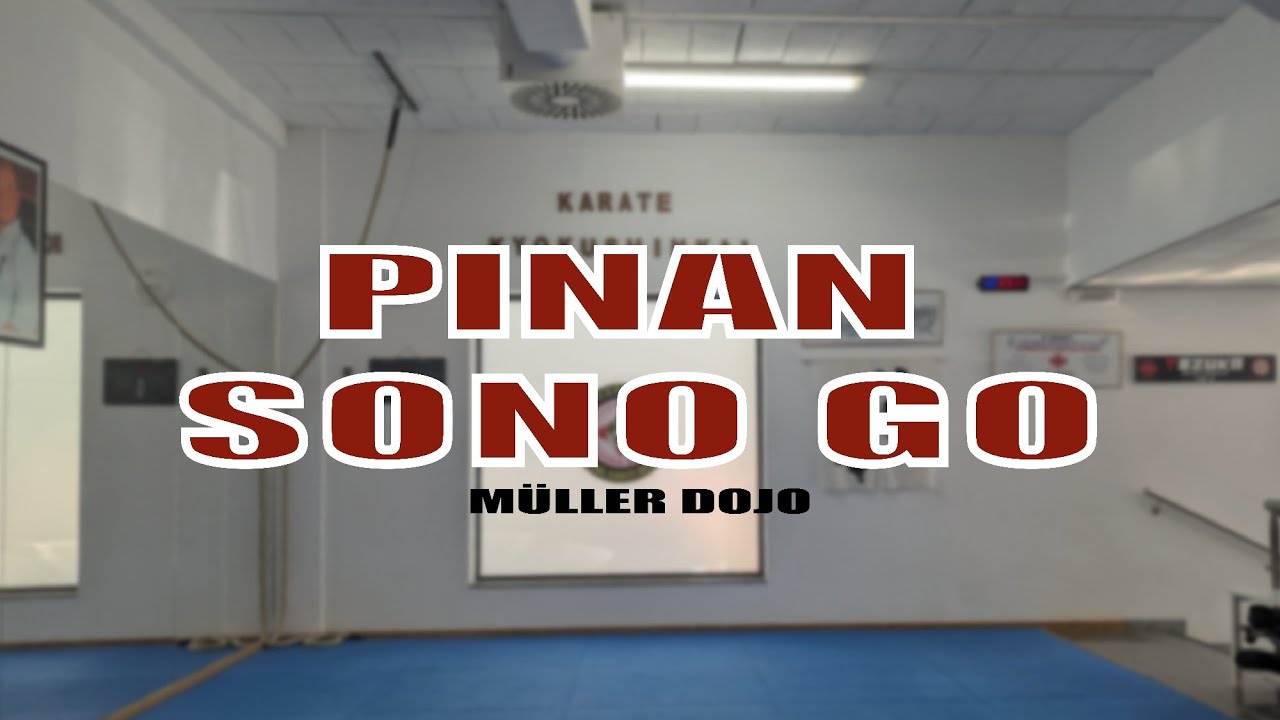 Pinan Sono Go Kata Kyokushin Karate 