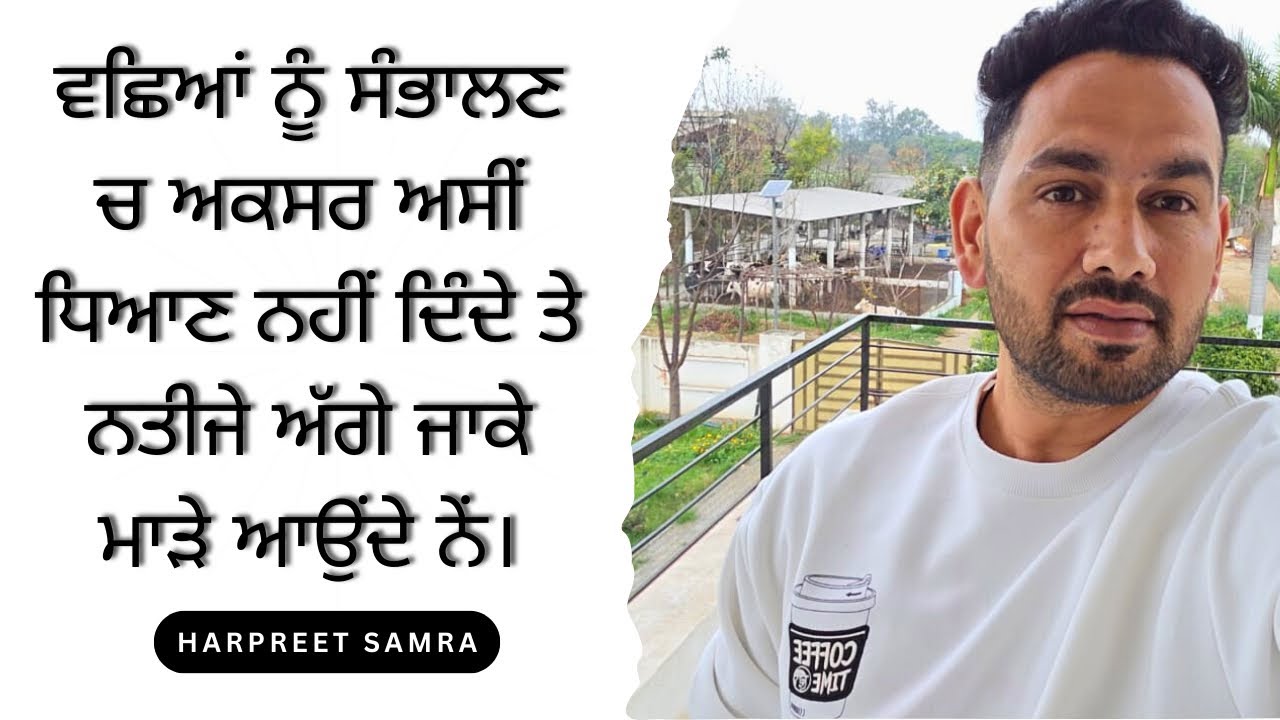 Vashiya hi nai sambhaliya ta dairy farm kadi kamyaab ni ho sakda | Ardaas Farm ਆਲੇ