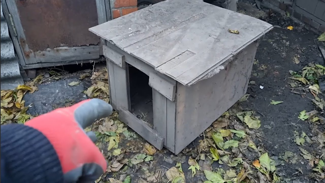 Ремонт собачьей будки БУДКА ДЛЯ СОБАКИ ИЗ ХЛАМА