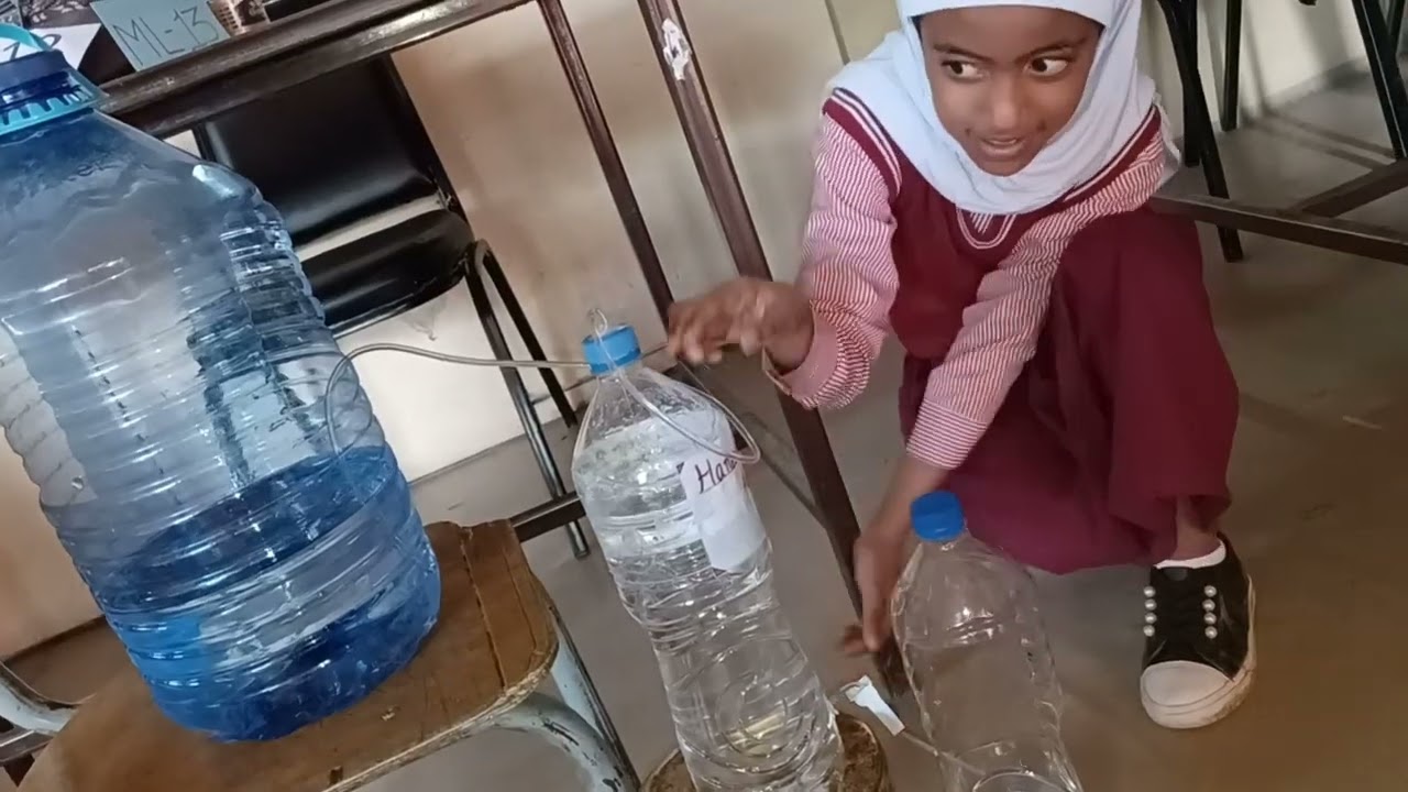 Moonlight Science Fair