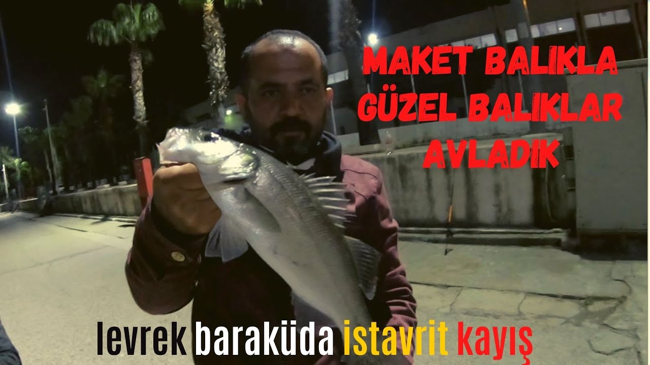 Silikon Ve Maket Yemlerle Levrek  Barakuda İstavrit  Kayış Avı