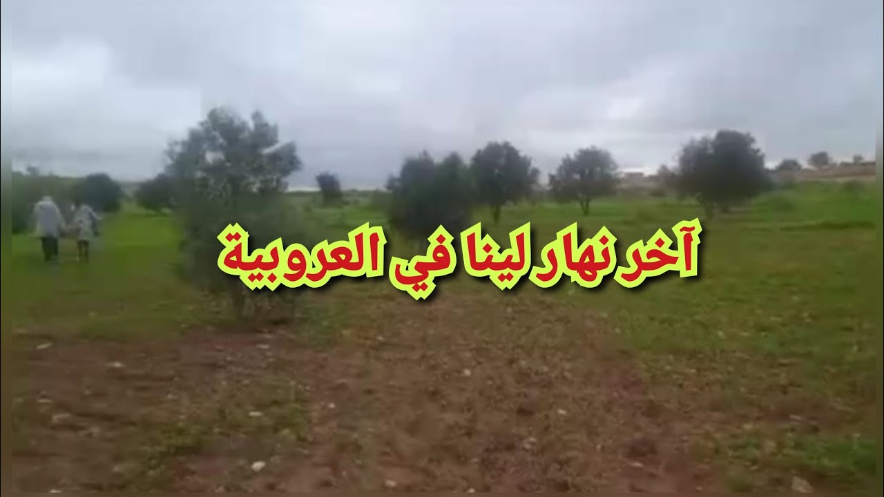 آخر نهار لينا في العروبية داز مشارجي ومطرطق