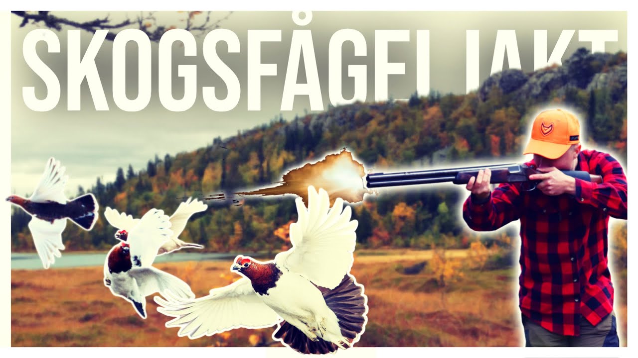 JAKT PÅ RIPA & SKOGSFÅGEL (Two Hunters)