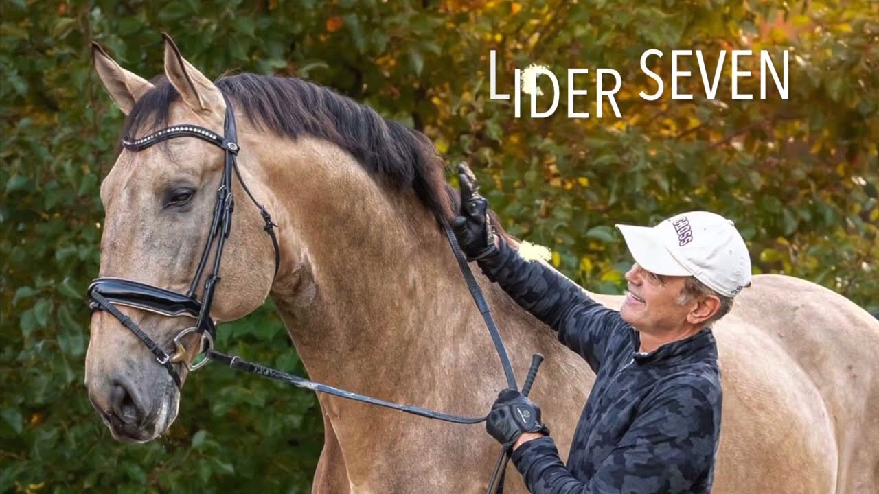 Lider Seven