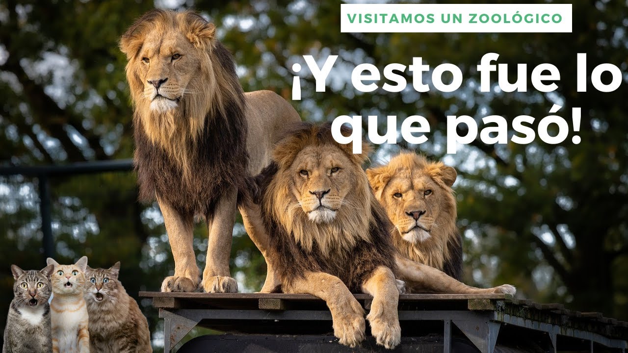 El Zoologico mas grande de Venezuela  NO LO VAS A CREER