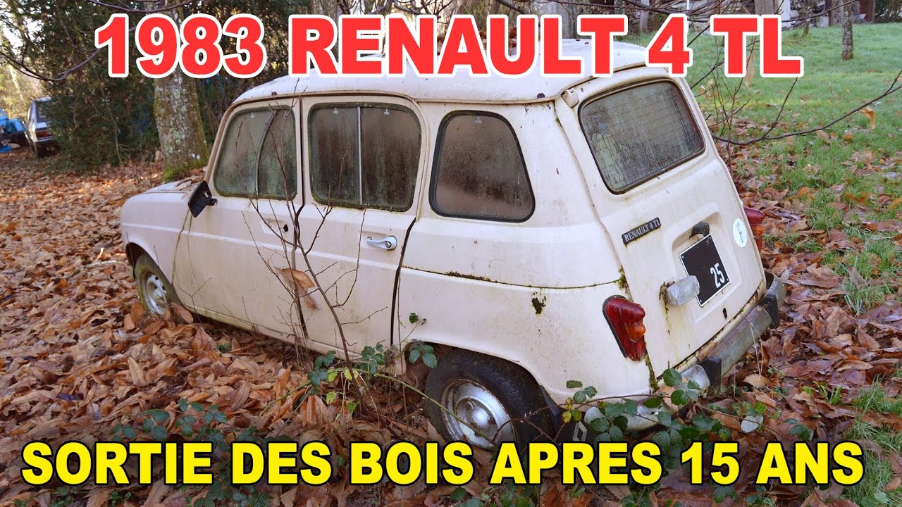 BARN FIND RENAULT 4L sauvetage  : l'épave des bois, peut-on la sauver ?
