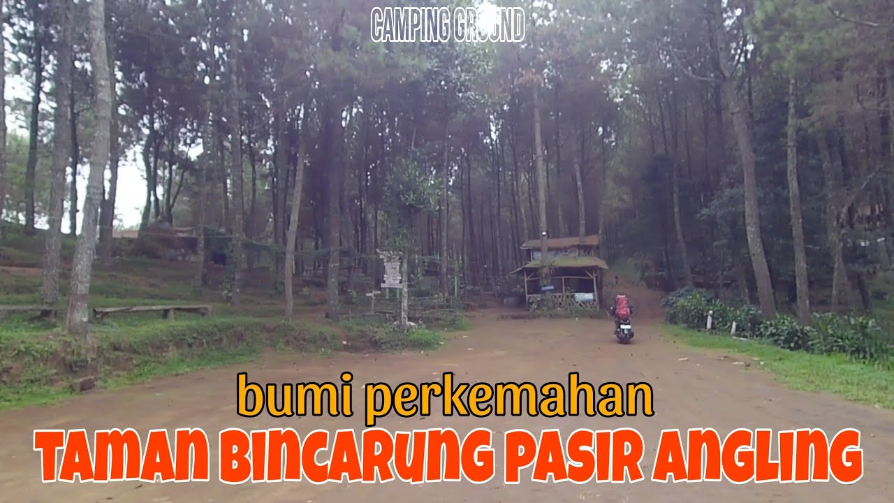 Taman Bincarung • Bumi Perkemahan Taman Bincarung Pasir Angling • Camping Di Taman Bincarung Lembang