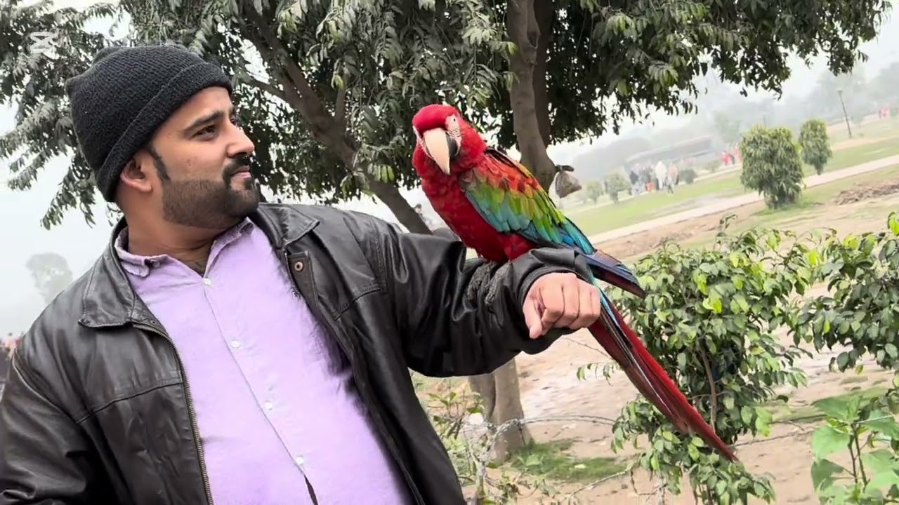 An other new video of Minar e Pakistan (Minto Park)