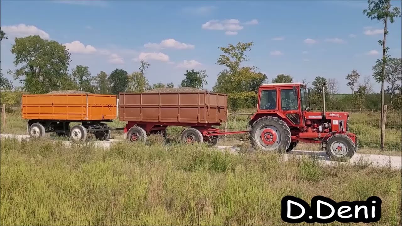[2024] Napraforgó Aratás *D.Deni*