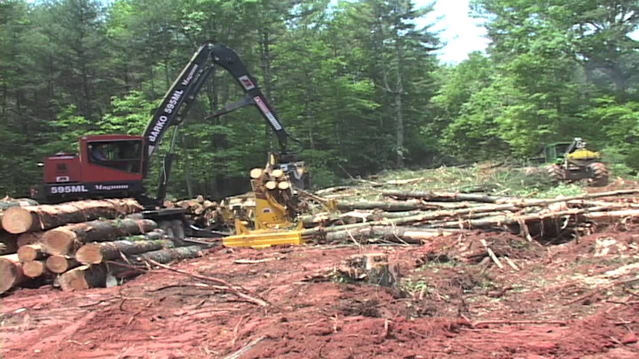 DL-4400 Slasher Saw