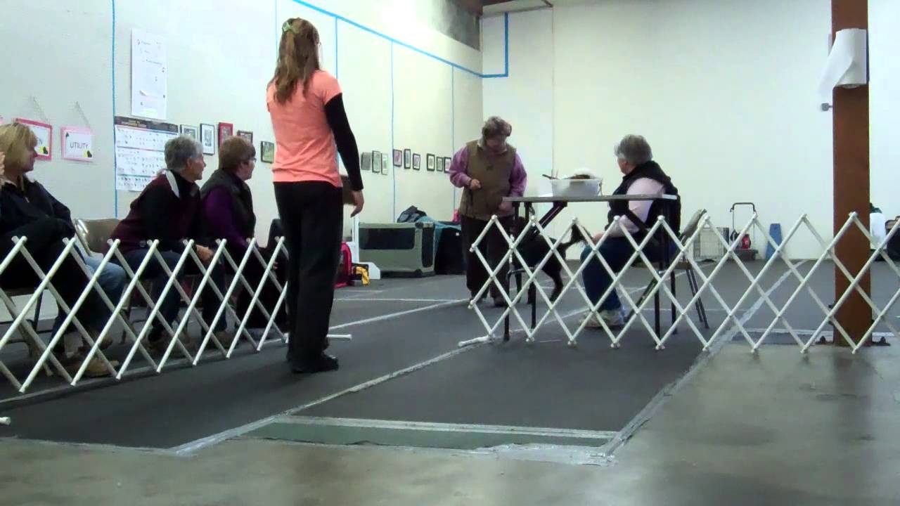 Promotional Video:  Advanced Ring Confidence class at FDSA!