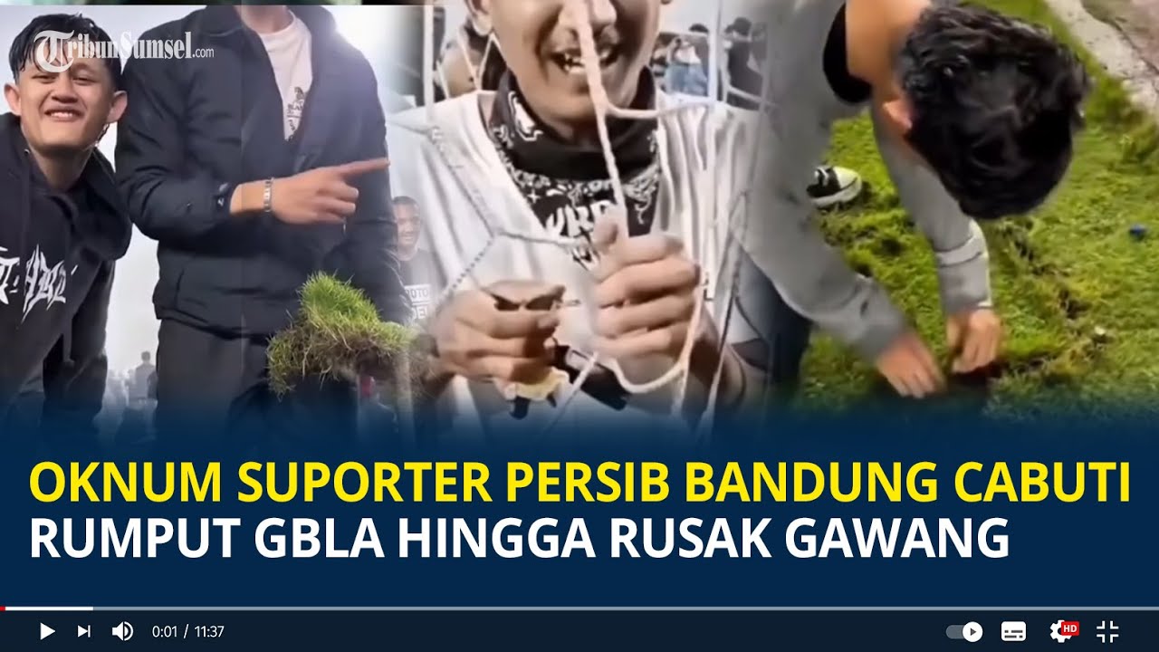 Viral Oknum Suporter Persib Bandung Cabuti Ru,put GBLA hingga Rusak Gawang