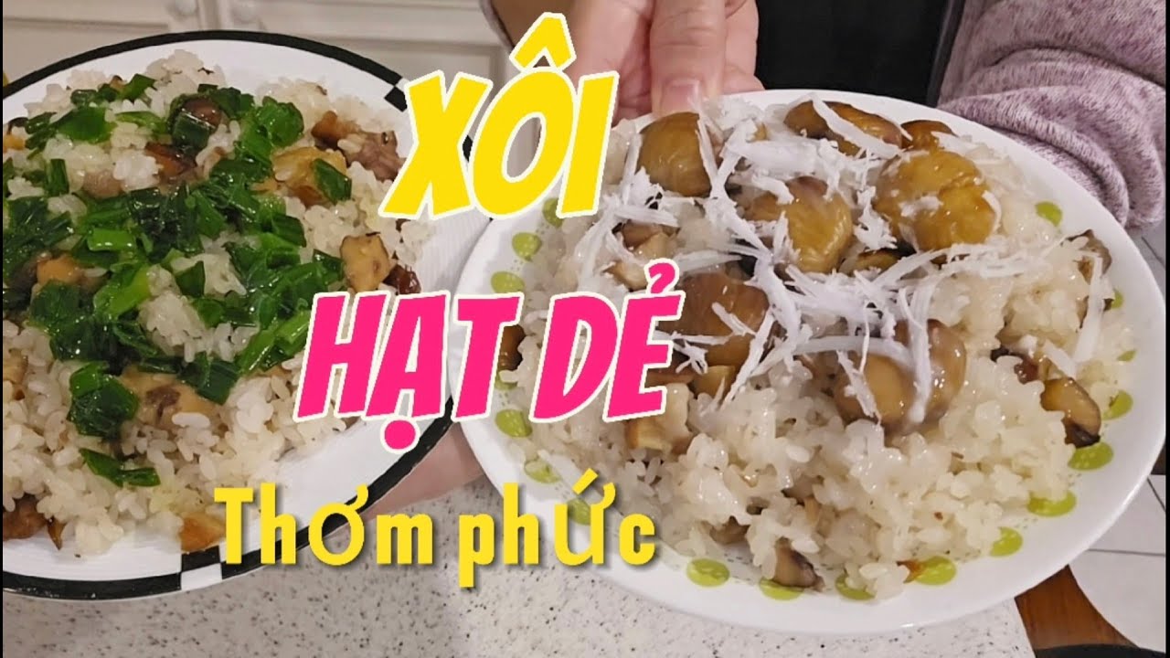 Xôi Hạt Dẻ thơm phức, cách nấu Xôi Hạt Dẻ dẻo ngon, Xôi Hạt Dẻ nước cốt Dừa| @thanhlichcuocsongmy