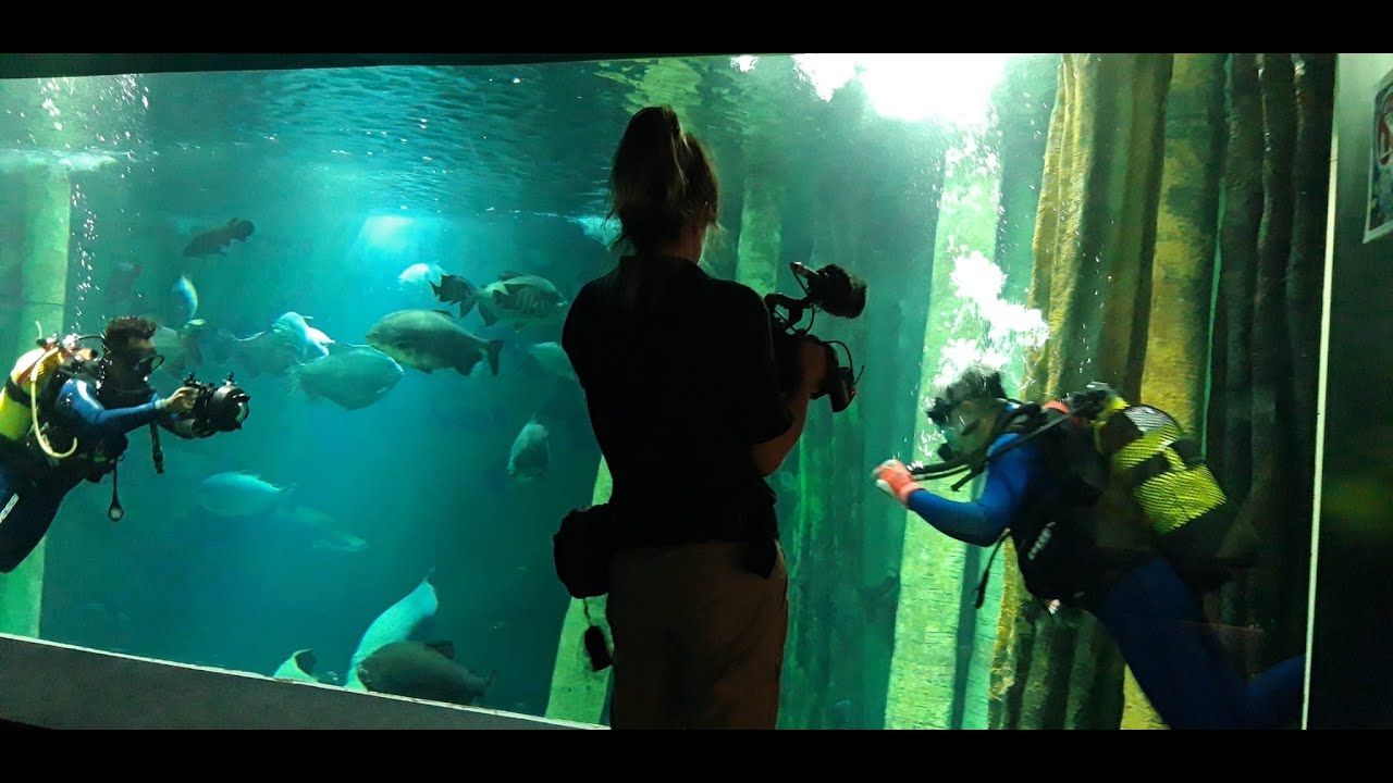 Río Salvaje visita el Acuario de Zaragoza