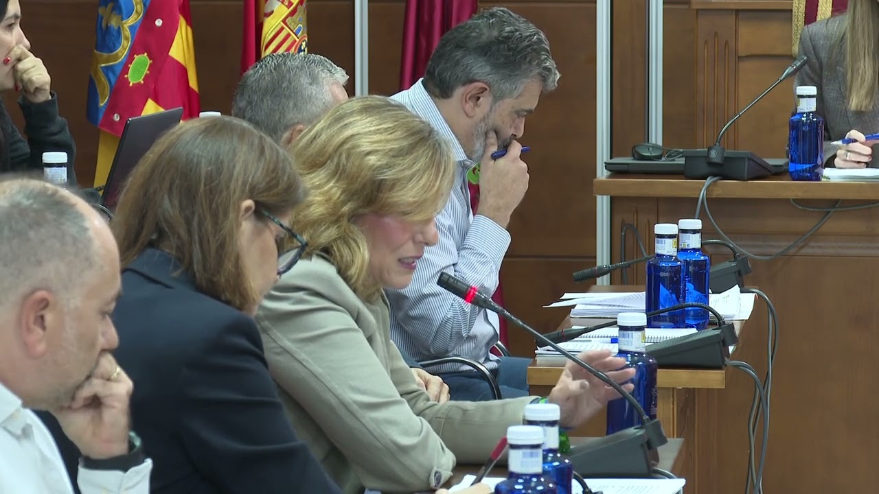 PLENO ORDINARIO 30 10 2025