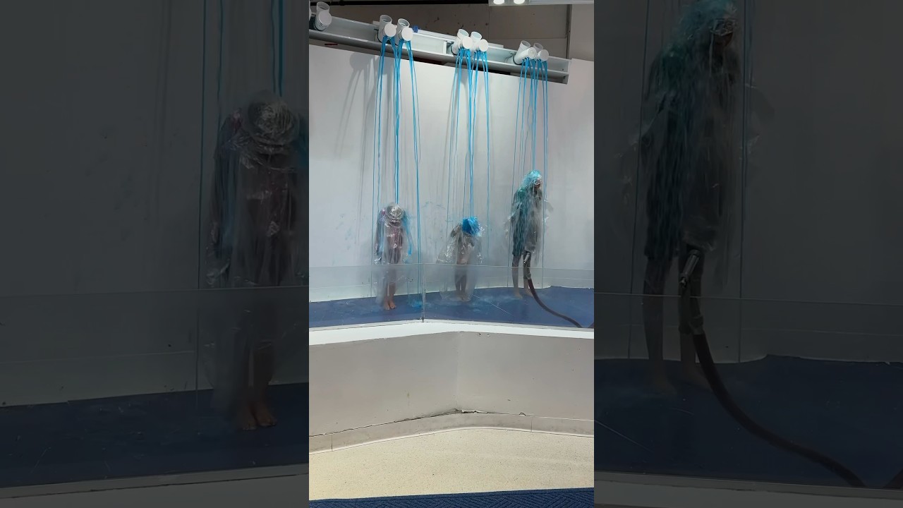 Le paradis du slime ! #slime #sloomoo #famille #activit&eacute;