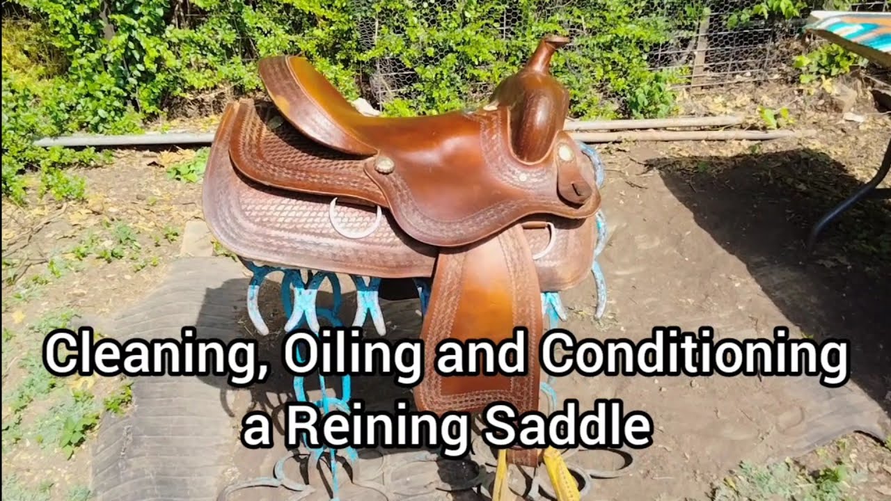 How to Clean, Oil and Condition a Western Reining Saddle