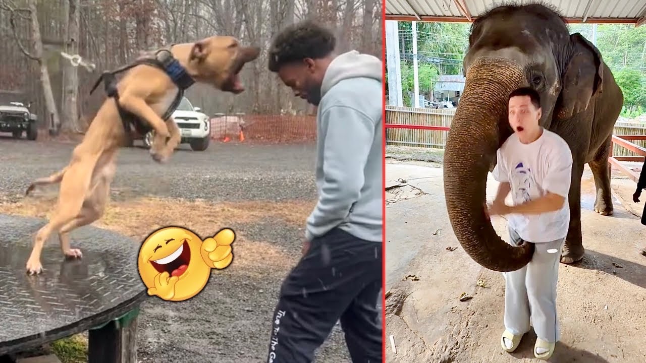 Epic Oops Moments You Can't Unsee | Funny Fails Edition #hilariousfails #fails #funnyfails #lol 