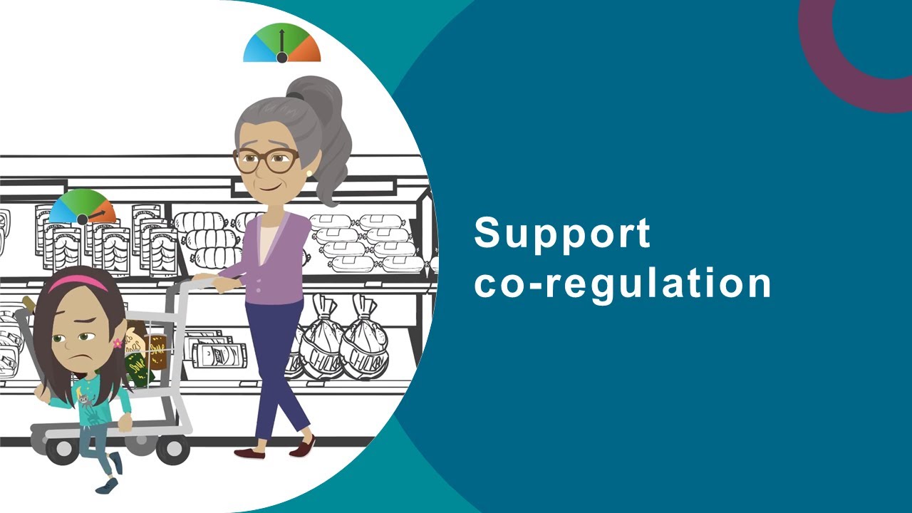 Behaviour challenges: Support co-regulation