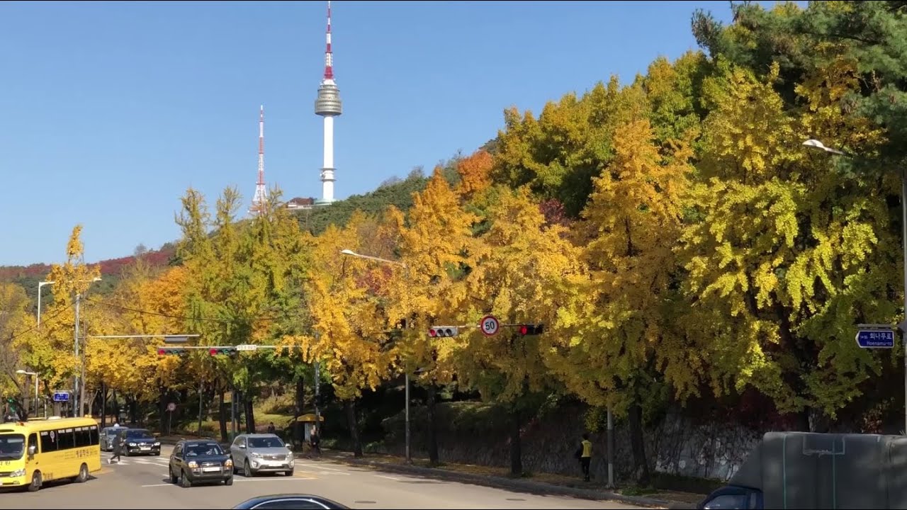 SEOUL NAMSAN, Autumn in Namsan