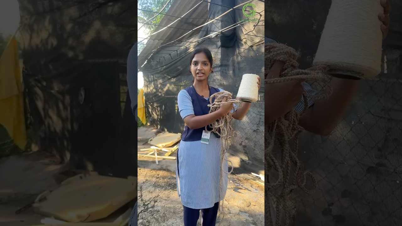 how to make entreprenuer in Banana value addition #bananafiber #extraction #businessideas #fiber