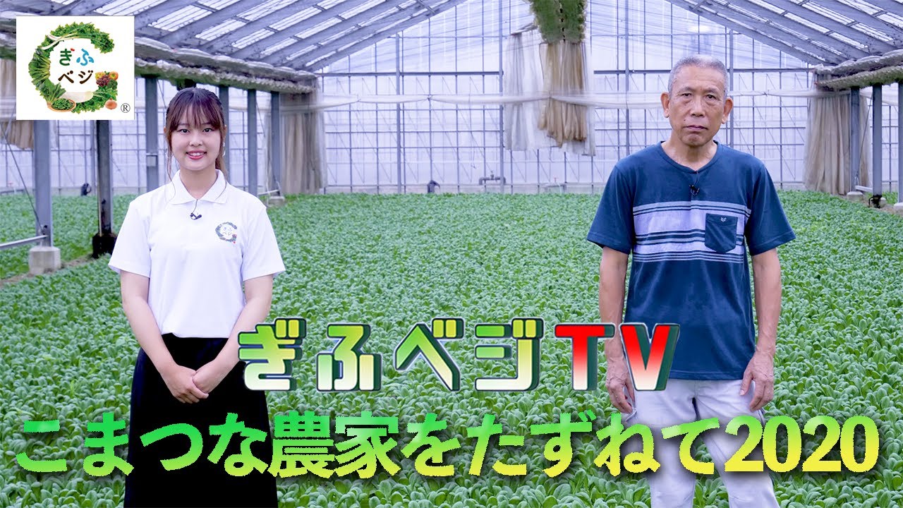 こまつな農家をたずねて2020
