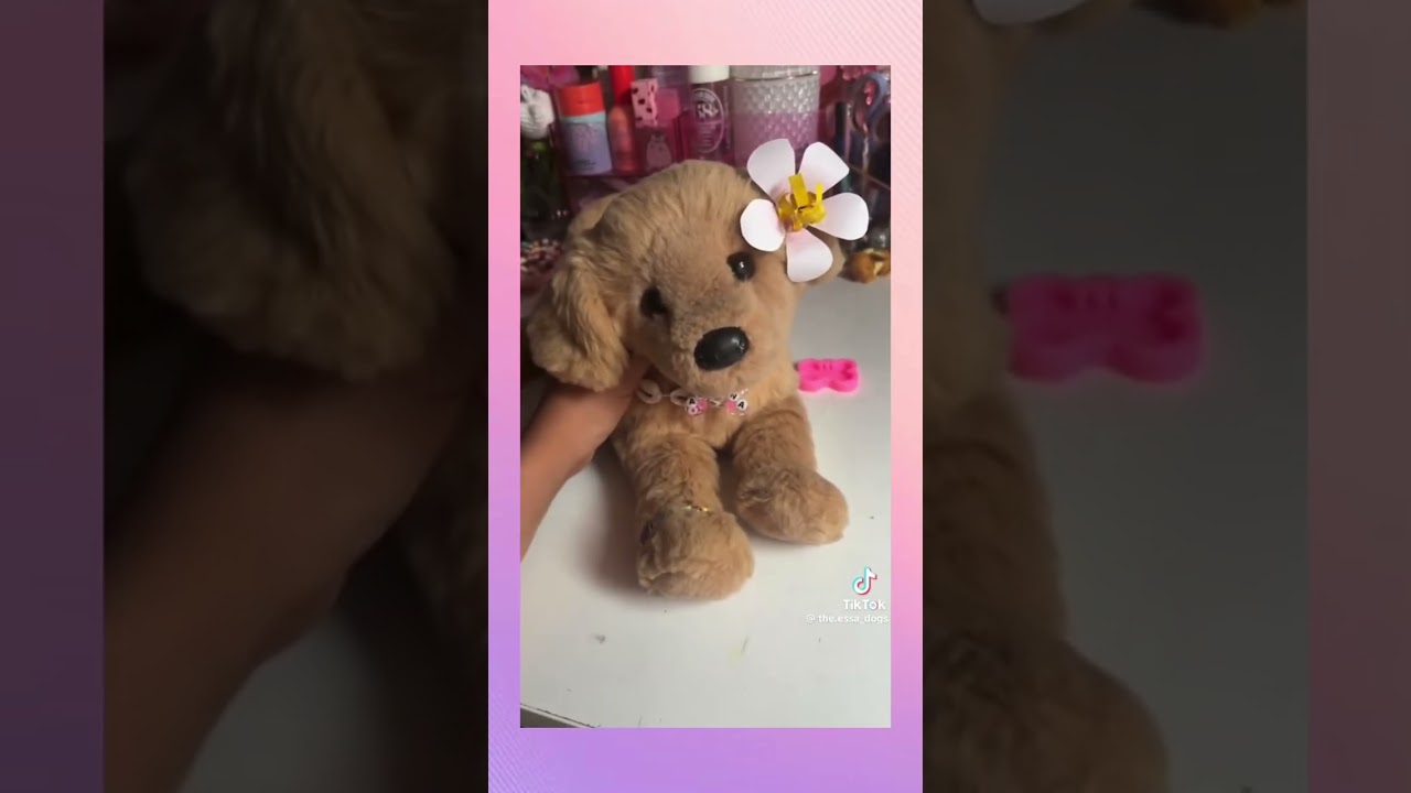 Essa comp! Part 1 💐🐶