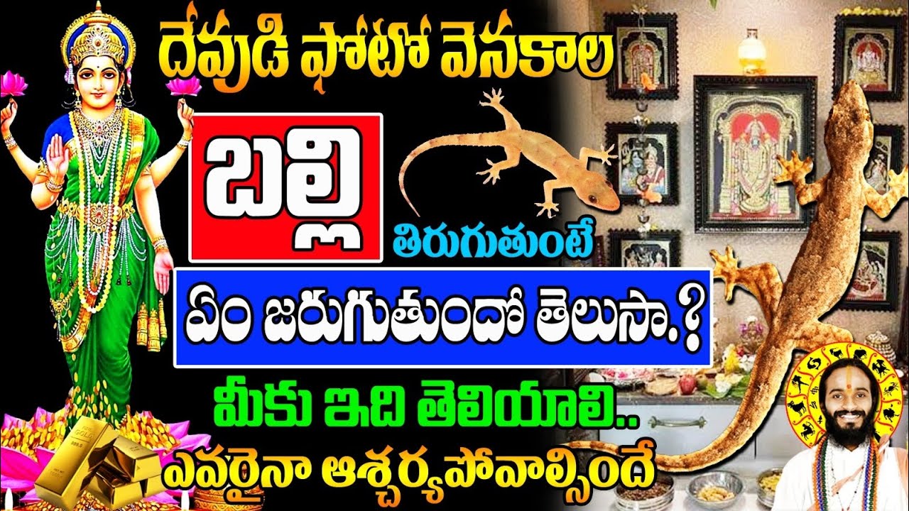 దేవుడి ఫోటో వెనకాల బల్లి తిరుగుతుంటే ఏం జరుగుతుందో తెలుసా.?||Balli Sastram #positivity #kskhome